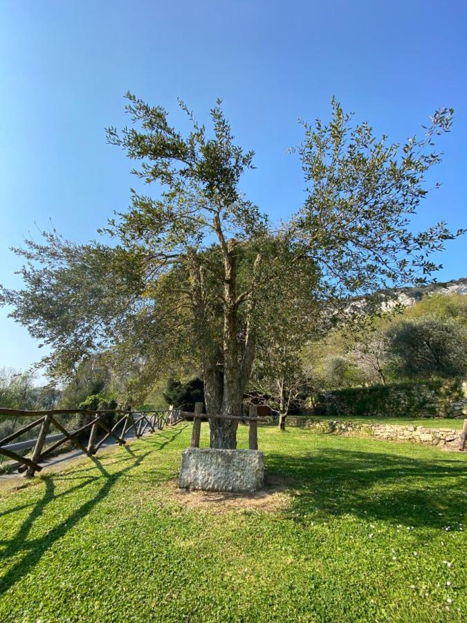 Casa Virginia Villa Orco Feglino Luaran gambar
